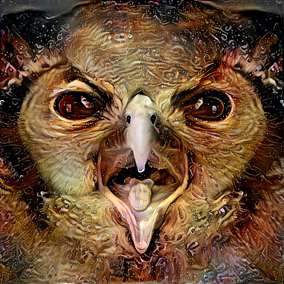 "Surprised owl" _ (210919)