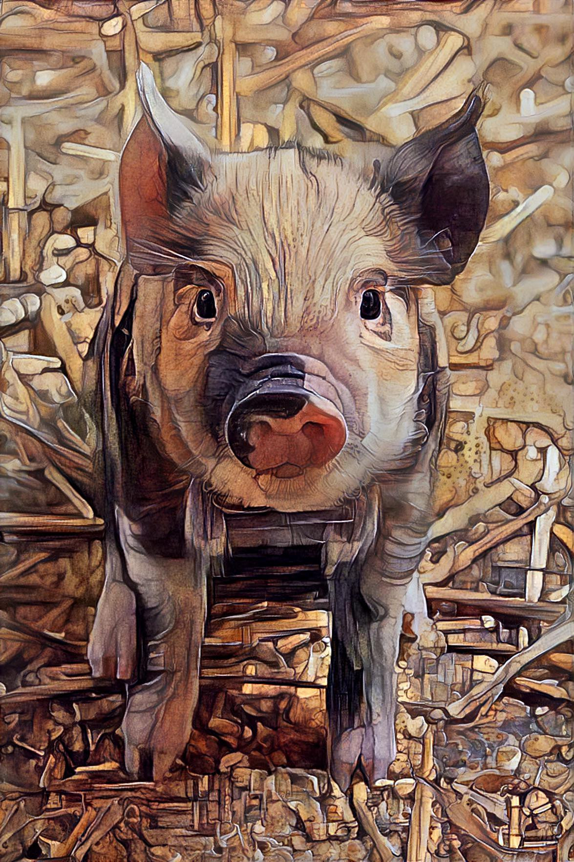 Friendly Piglet