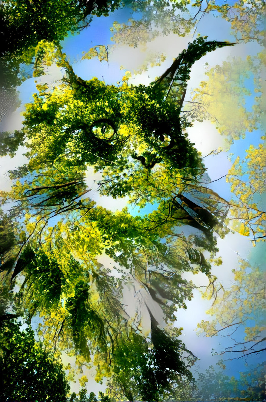 cat plant, green, branches