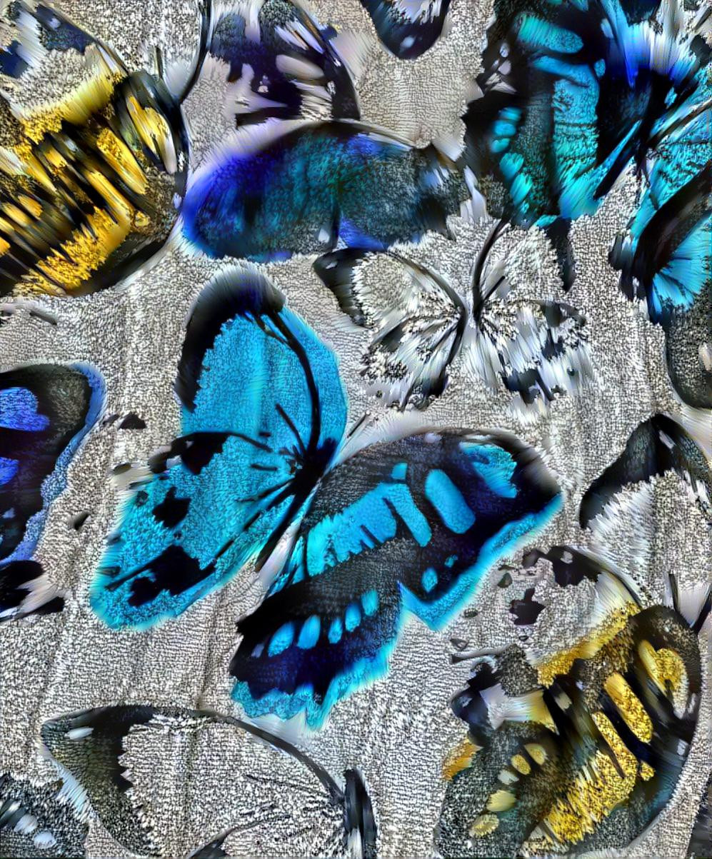 Butterfly Dreamz