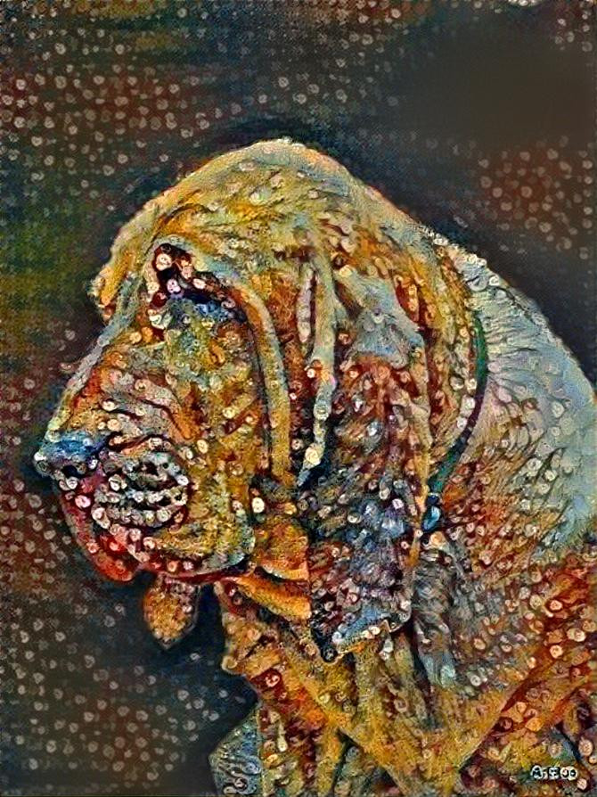 My bloodhound girl Iranda