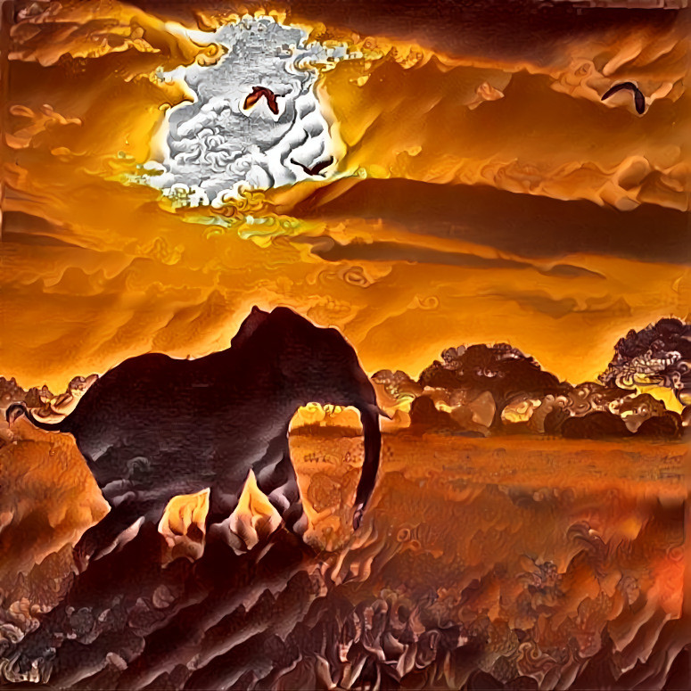 Elephant at sunset 
