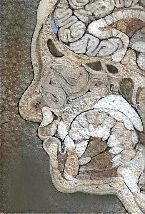 side profile, human head diagram, stone