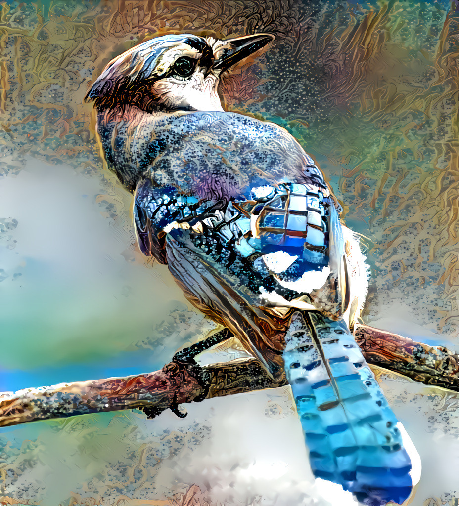 Eastern Blue Jay.  Source Photo is public domain, Pixabay.