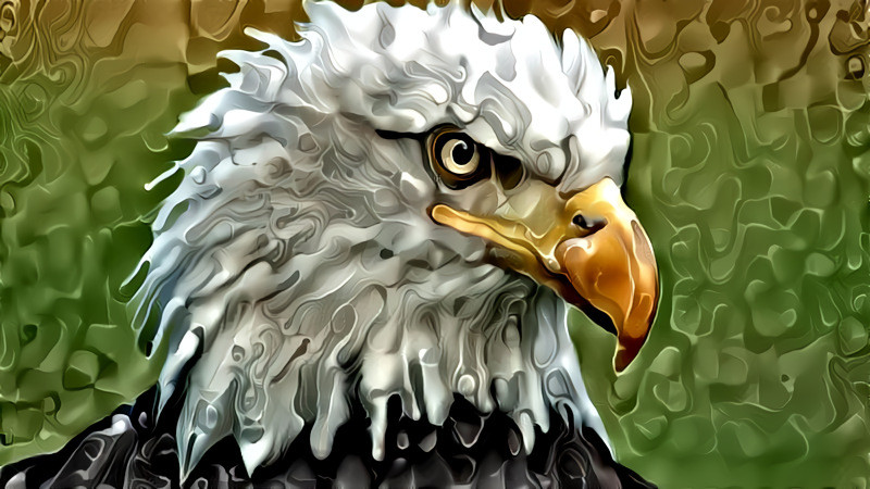 Deep Dream: Bald Eagle