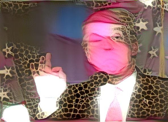 Chintzy Pink Leopard Skin Handbag Trump