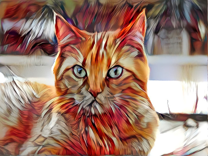 Muffins, the Mona Lisa of Cats