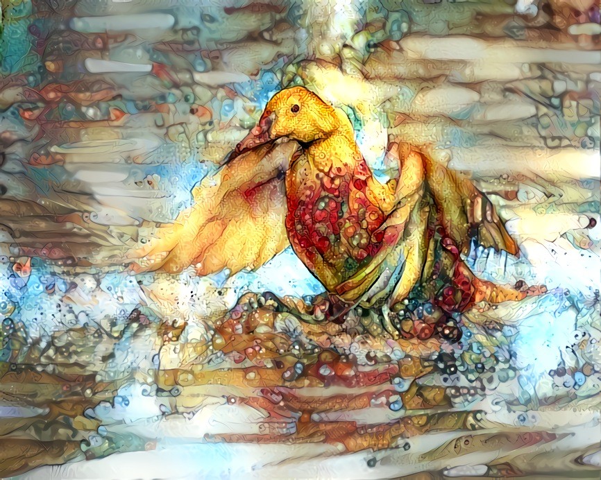 Duck in Motion - Alaska -01