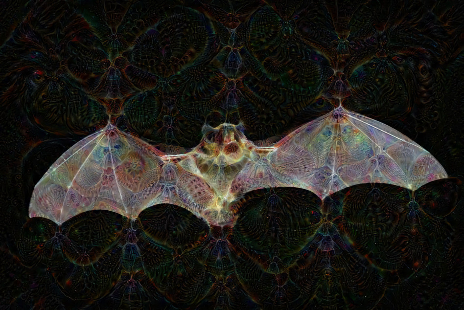 Cosmic Fractal Bat