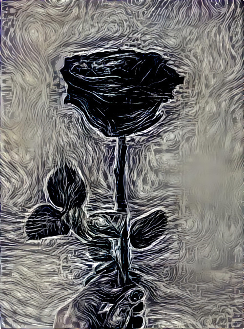 rose of uncertainty