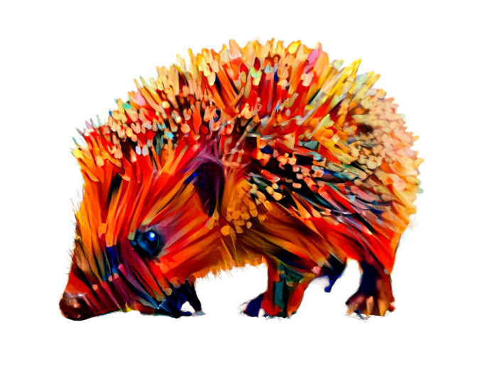 Abstract Pencil Hedgehog