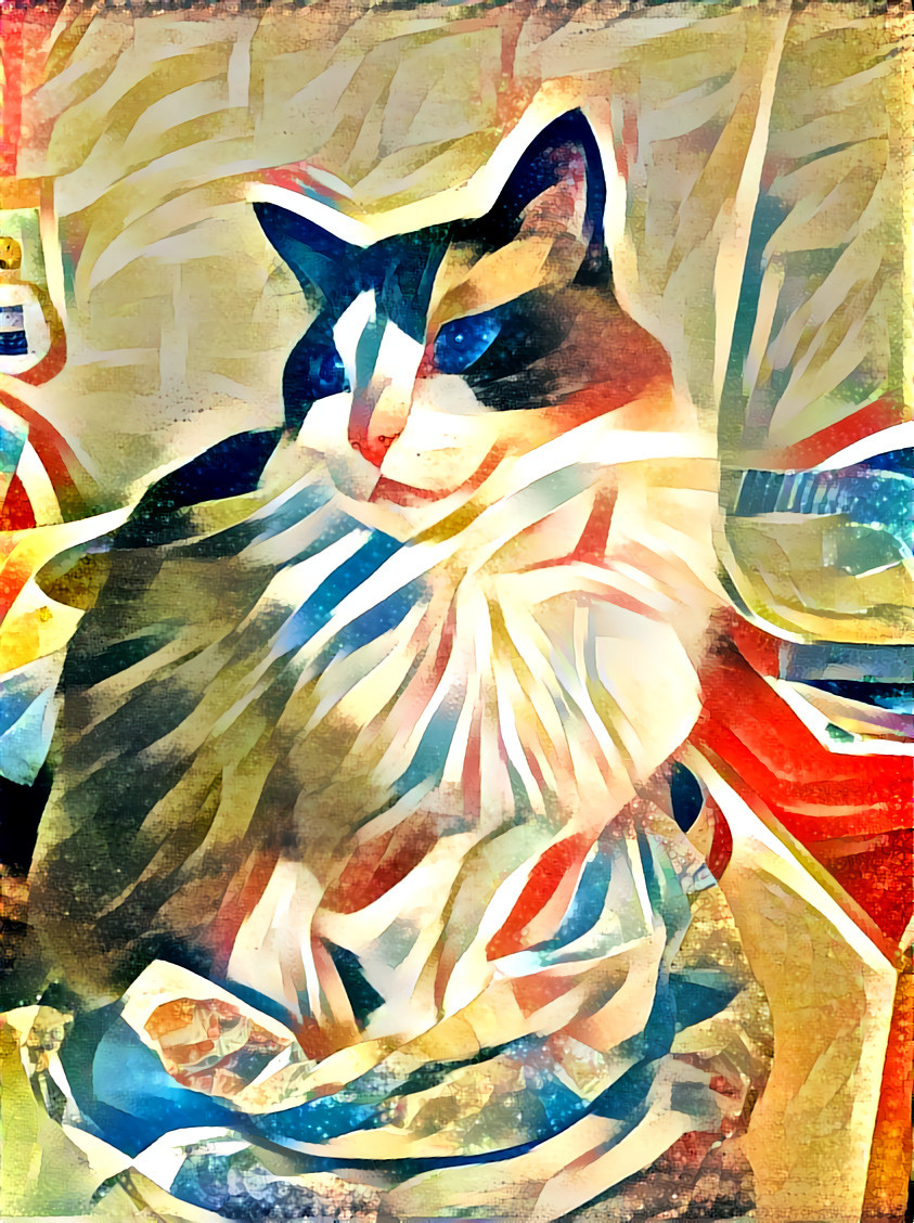 The Cat of Many Colors
