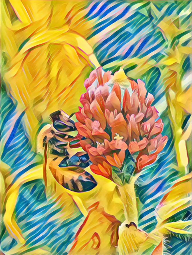 Bee+flower