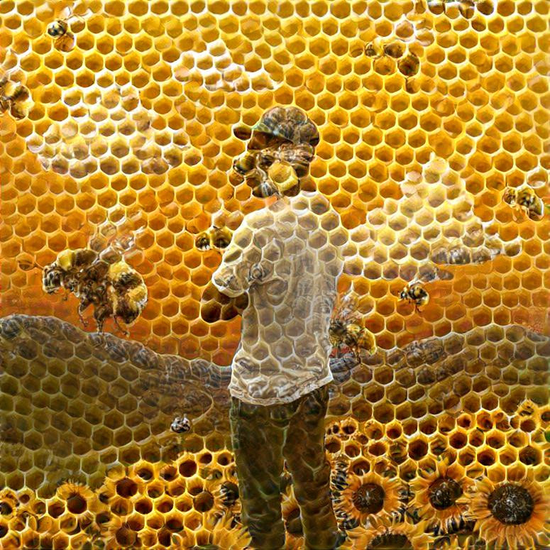 Flower Boy - Tyler, The Creator x Bees Honeycomb