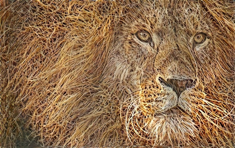 Lion in a Haystack