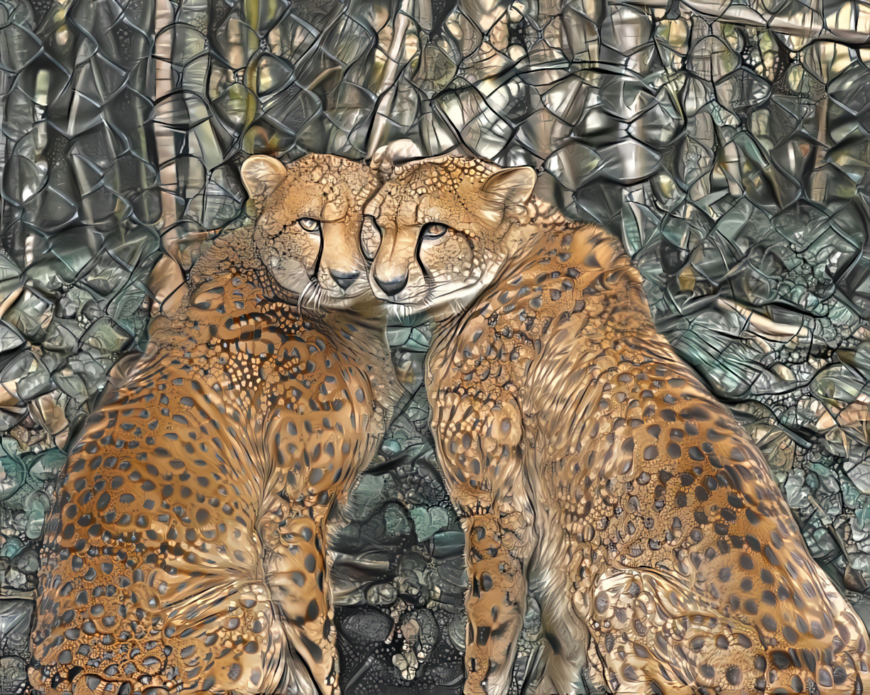 Two Cheetahs as one. 