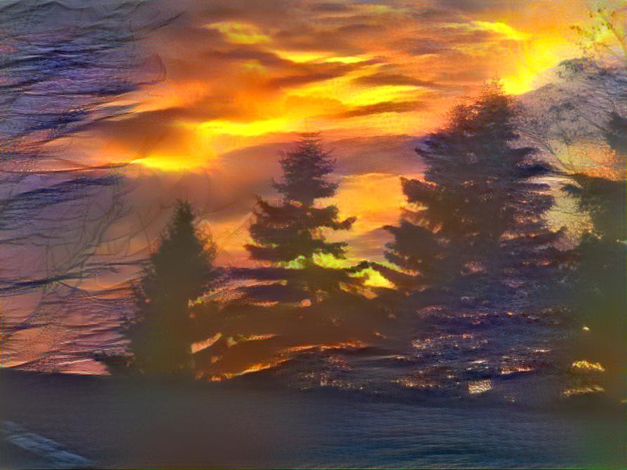 Pine Tree Sunset