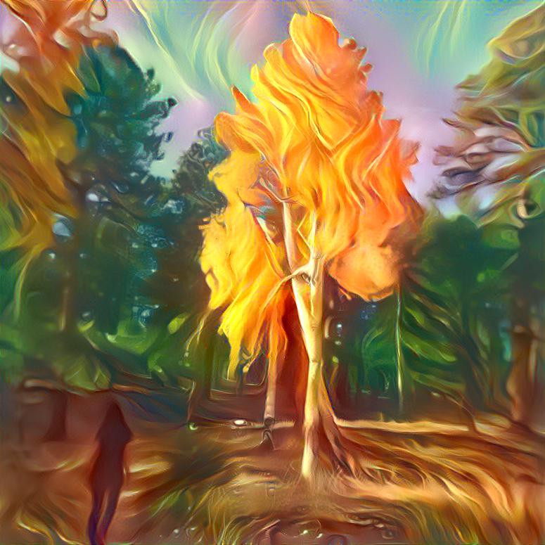 Tree on Fire