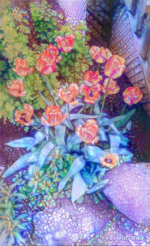 Tulips - My Image & Style