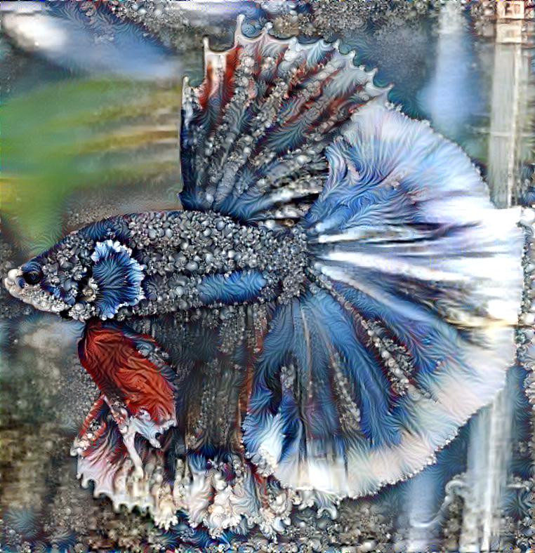 Ornamental Fisch 