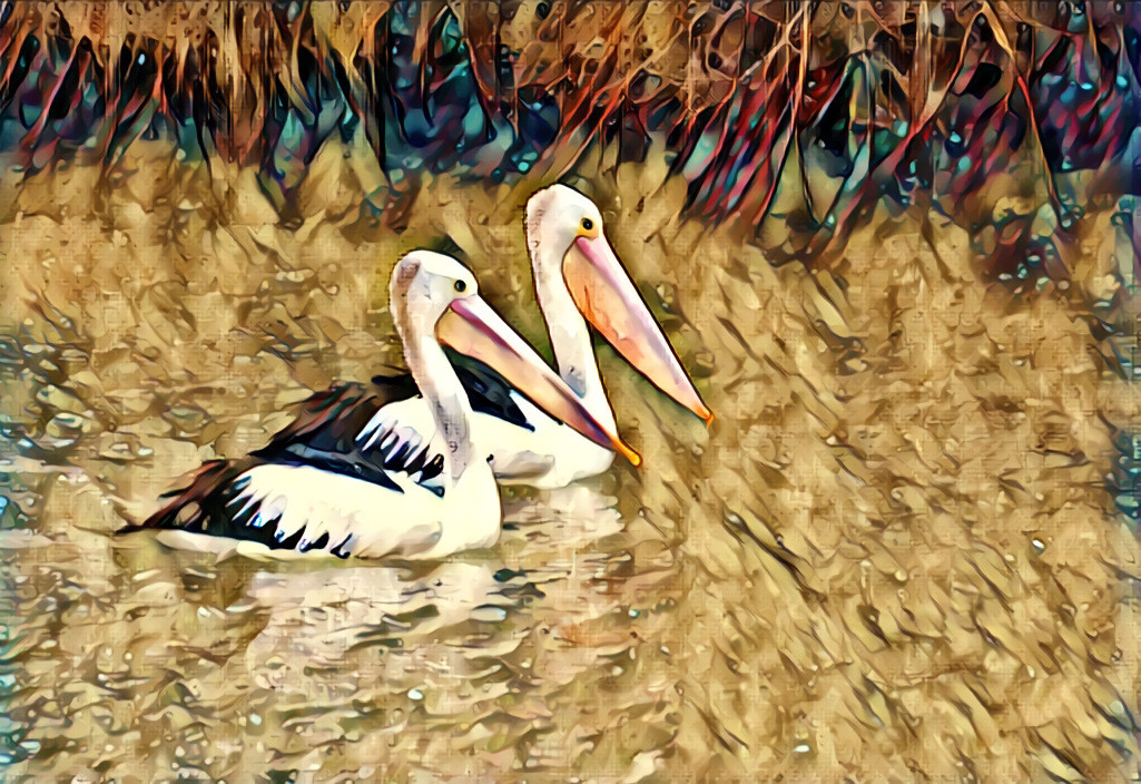 Pelican pair