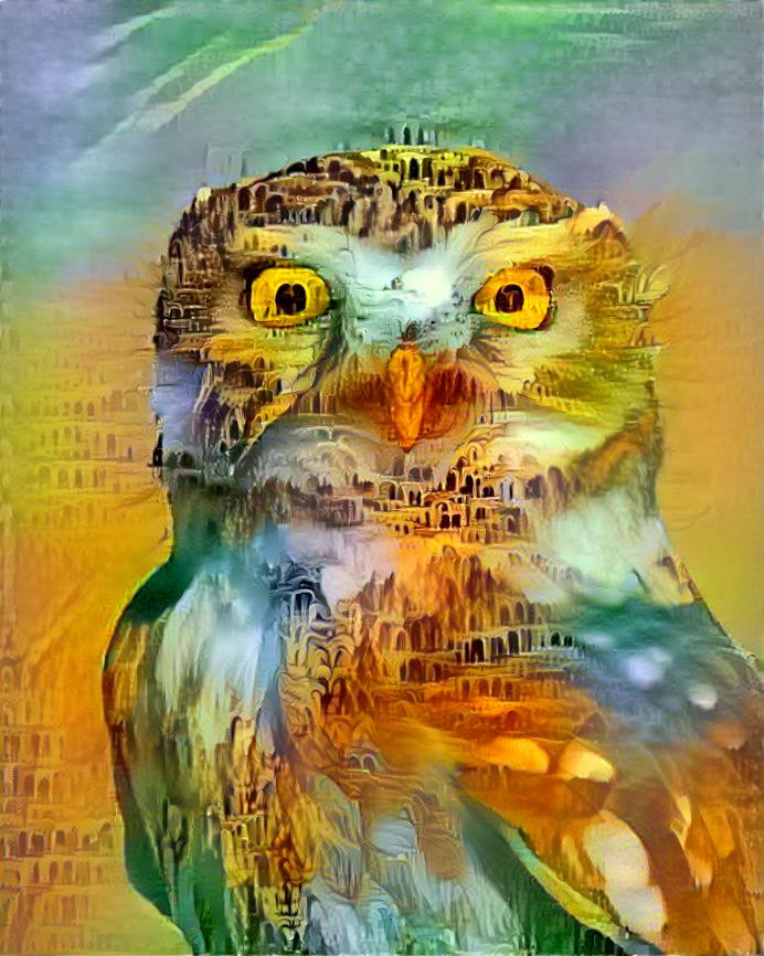 Allucinated owl