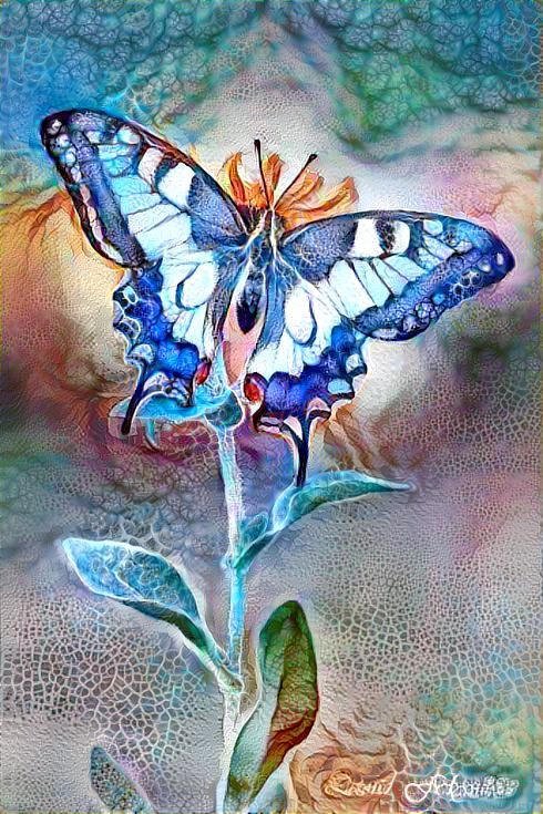 THE BLUE butterfly