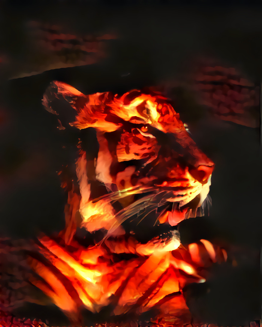Another Firey Kitty I •