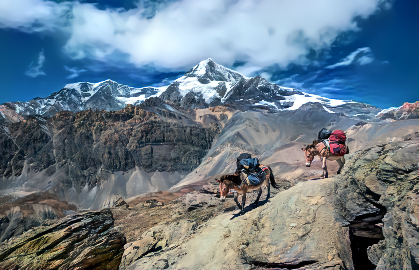Donkeys in the Himalaya mountains