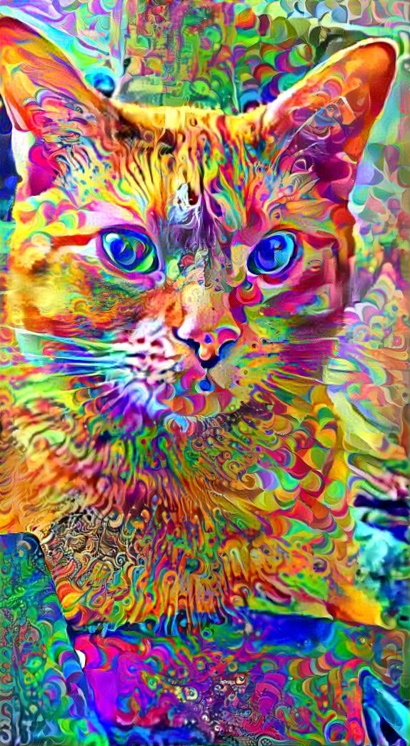 Rainbow Monstrosity Pumpkincat