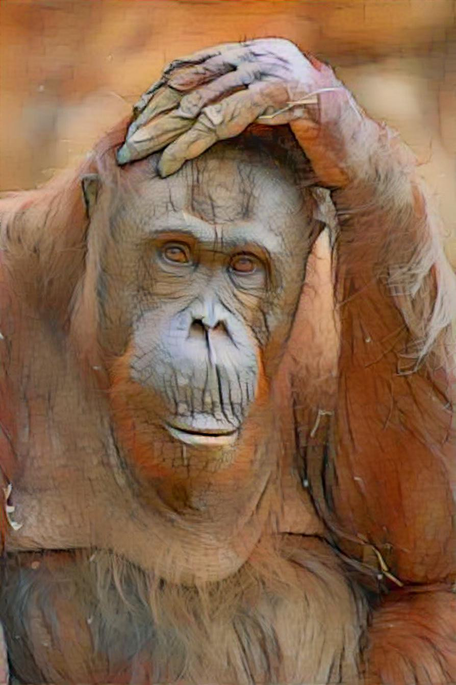 Orangutans look straight into your soul. -W. Smits