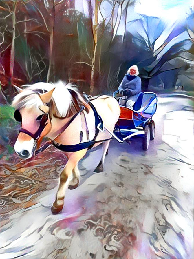 My sisters horse and me driving trough the woods. (Thx to a Siouxsie style)