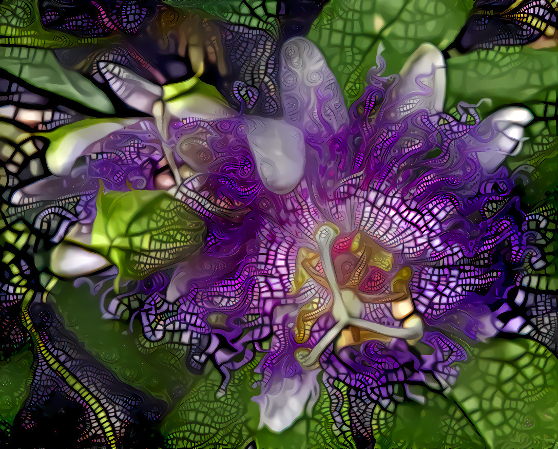 Perfectly Purple Passionflower Power