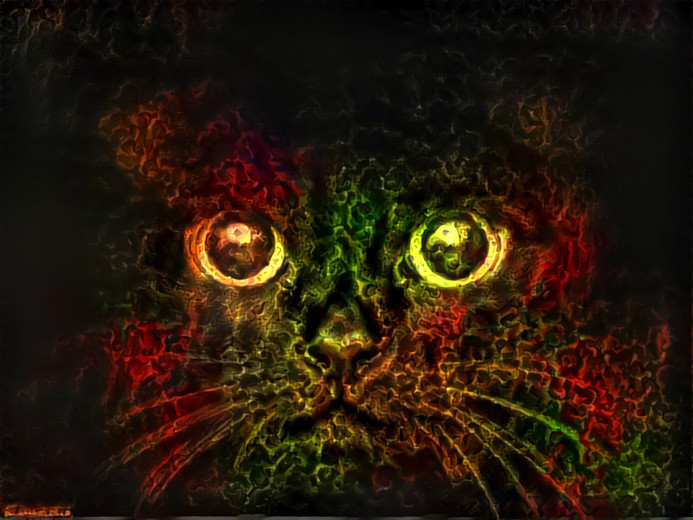 Fractal Cat Sees Your Soul