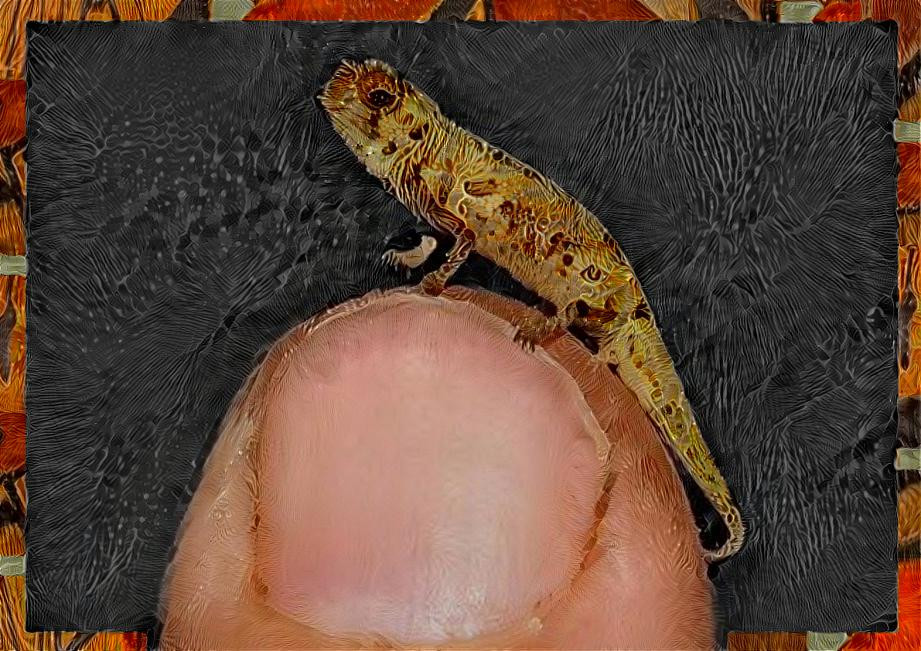 A German-Madagascan expedition team recently discovered this tiny lizard living on Madagasar … it is the smallest reptile ever found on planet earth.