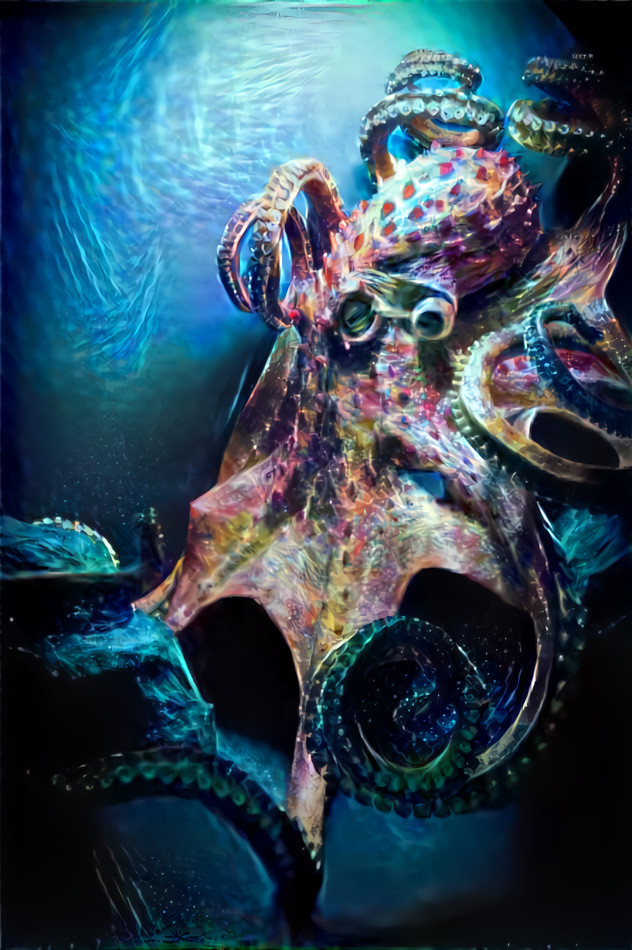 Colored Octopus 