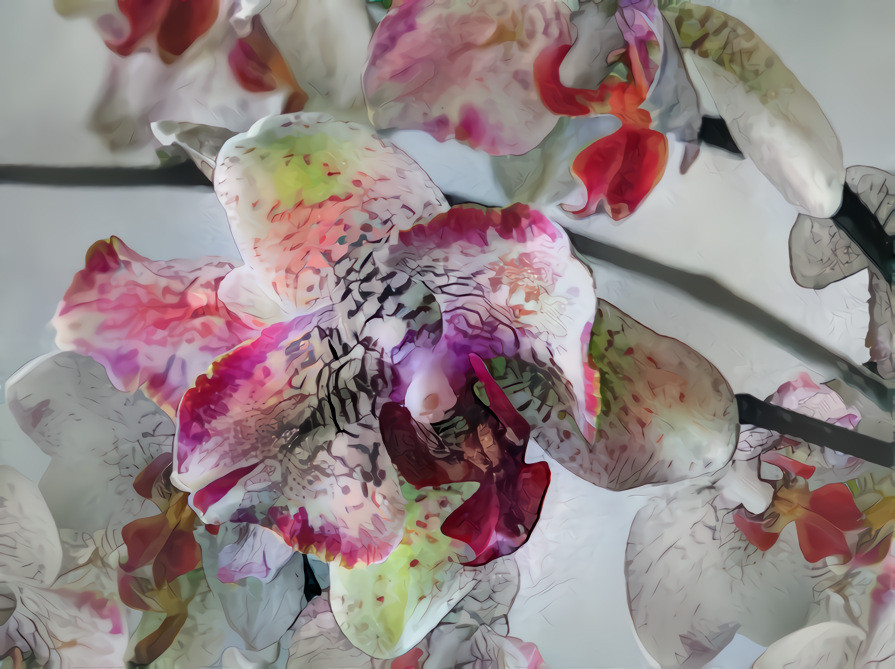 A symbiosis: my orchid and my scarf. :-)
