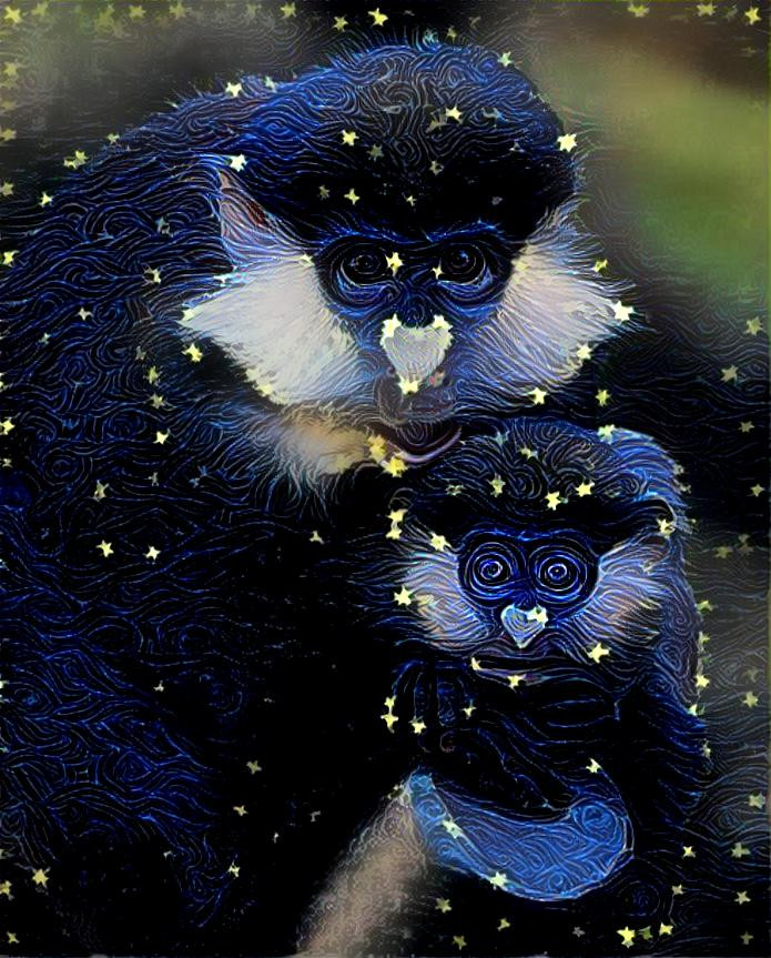 Star Monkeys