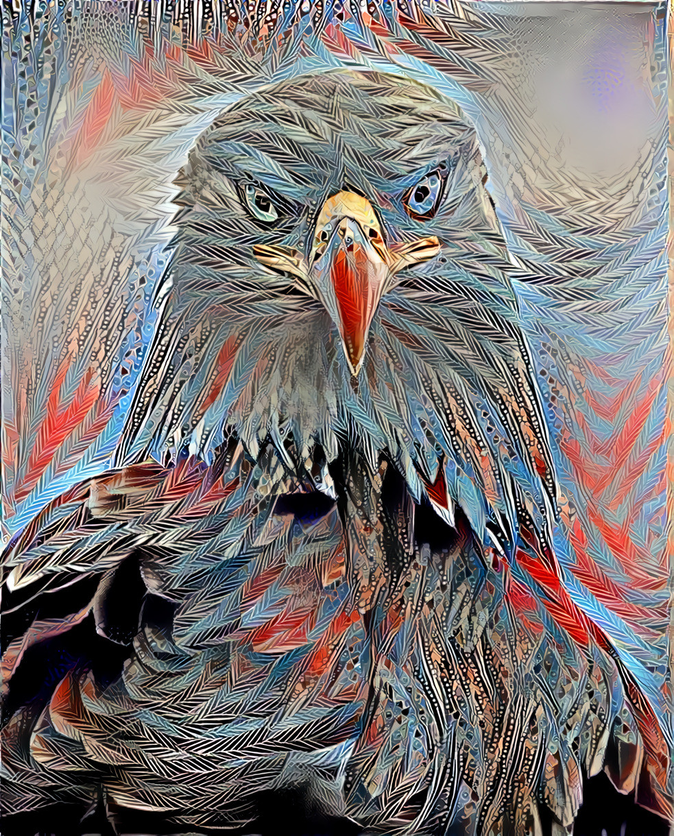 Eagle Eyes 
