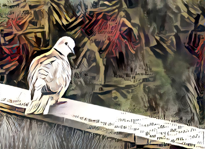 Old Paper Pigeon