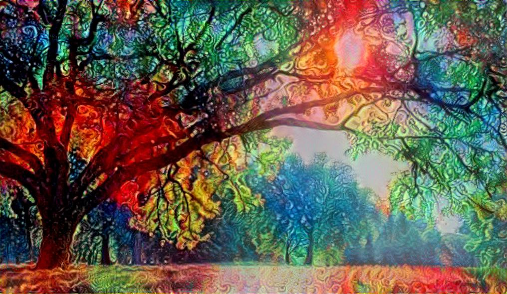 rainbow trees