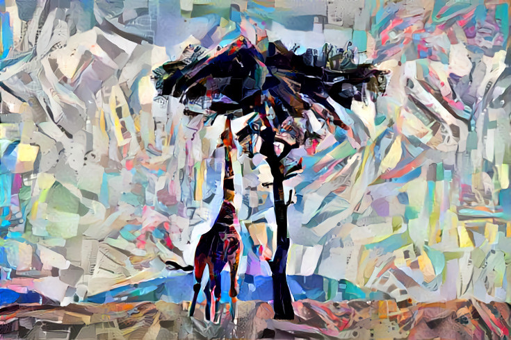 giraffe eating from tree - collage