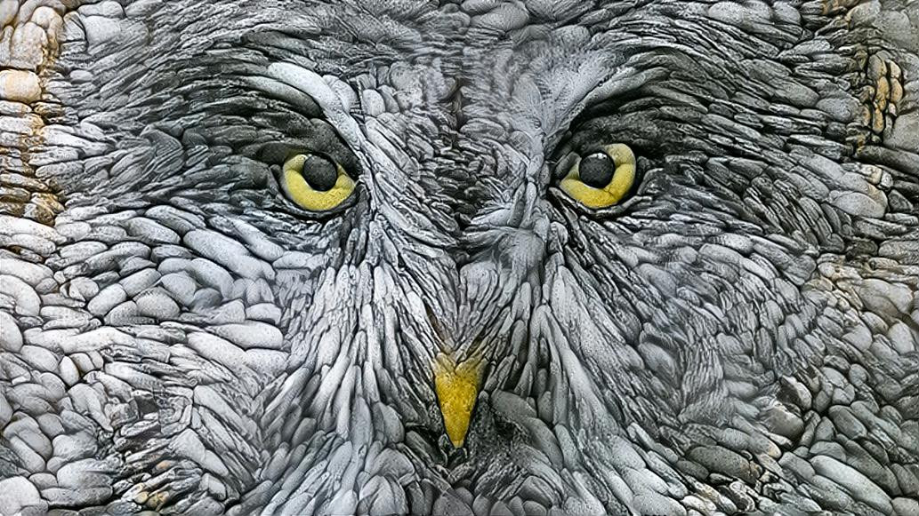 Deep Dream: Grey Owl (Ver.4)