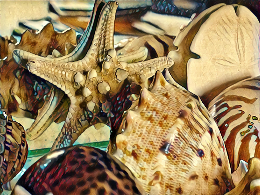 Seashell Arrangement with Starfish & Sand Dollar