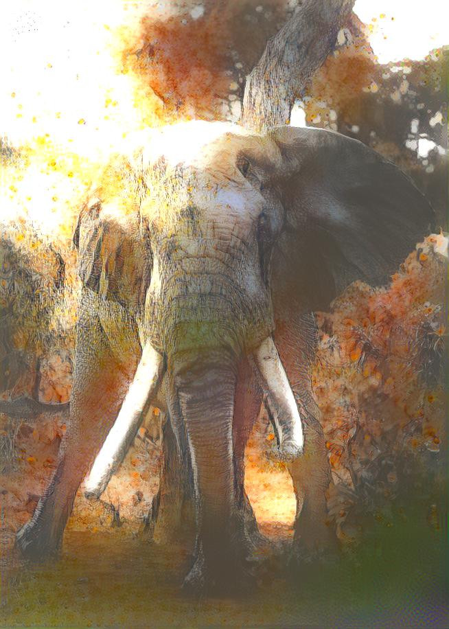 Elephant Bull (Tusker)