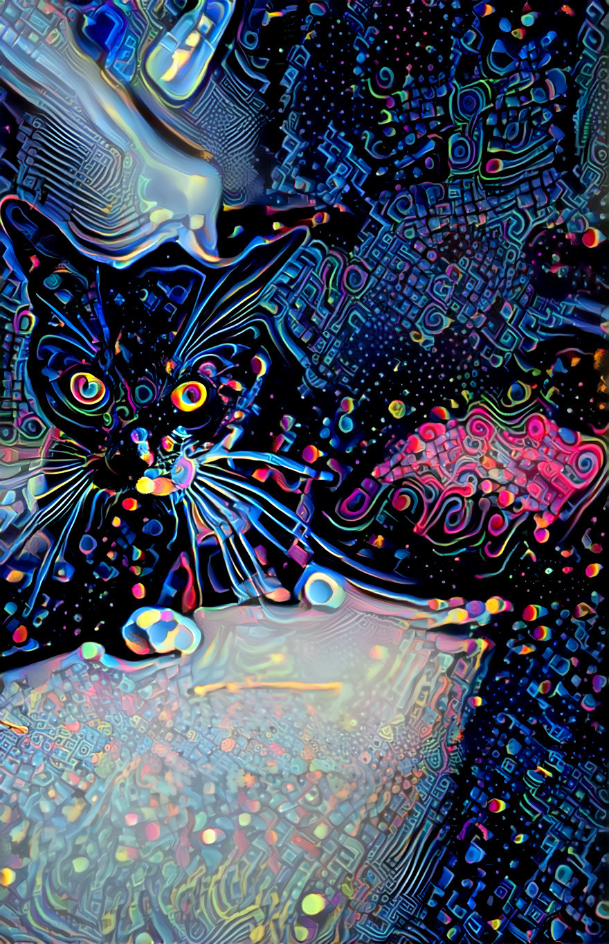 Trippy Cat