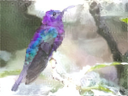 Violet Sabrewing Hummingbird (Watercolor)