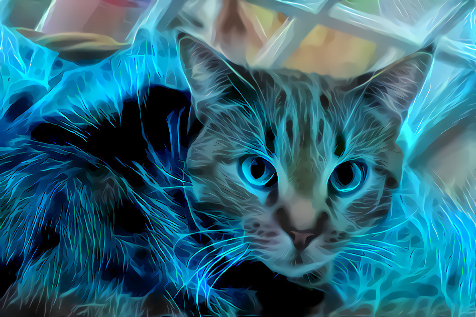 Wired Cat