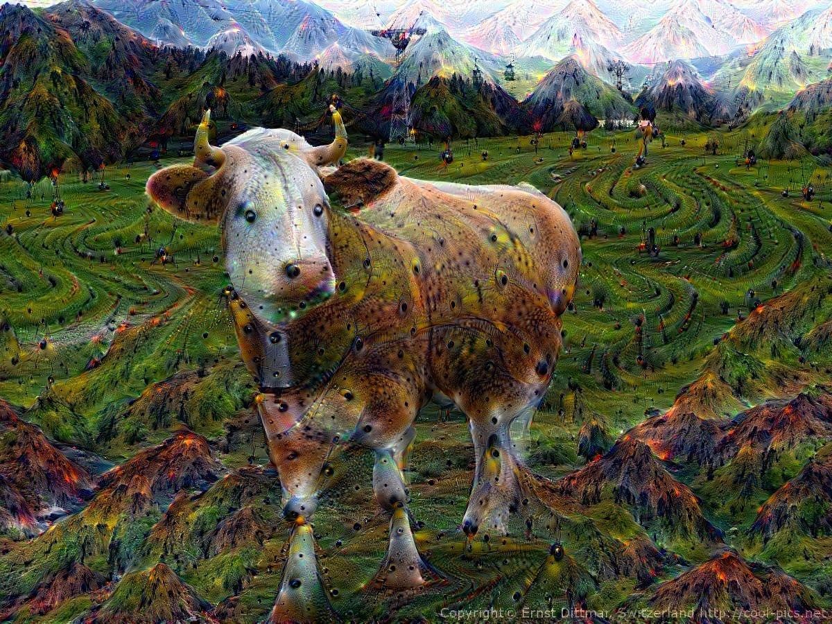 Lovely Cow