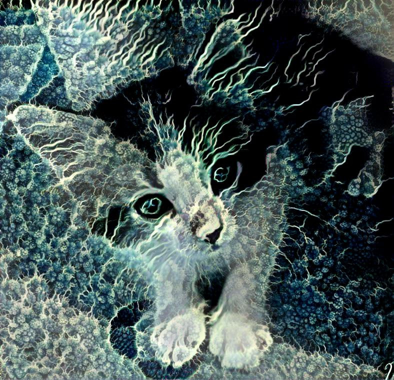 Carpet Kitten
